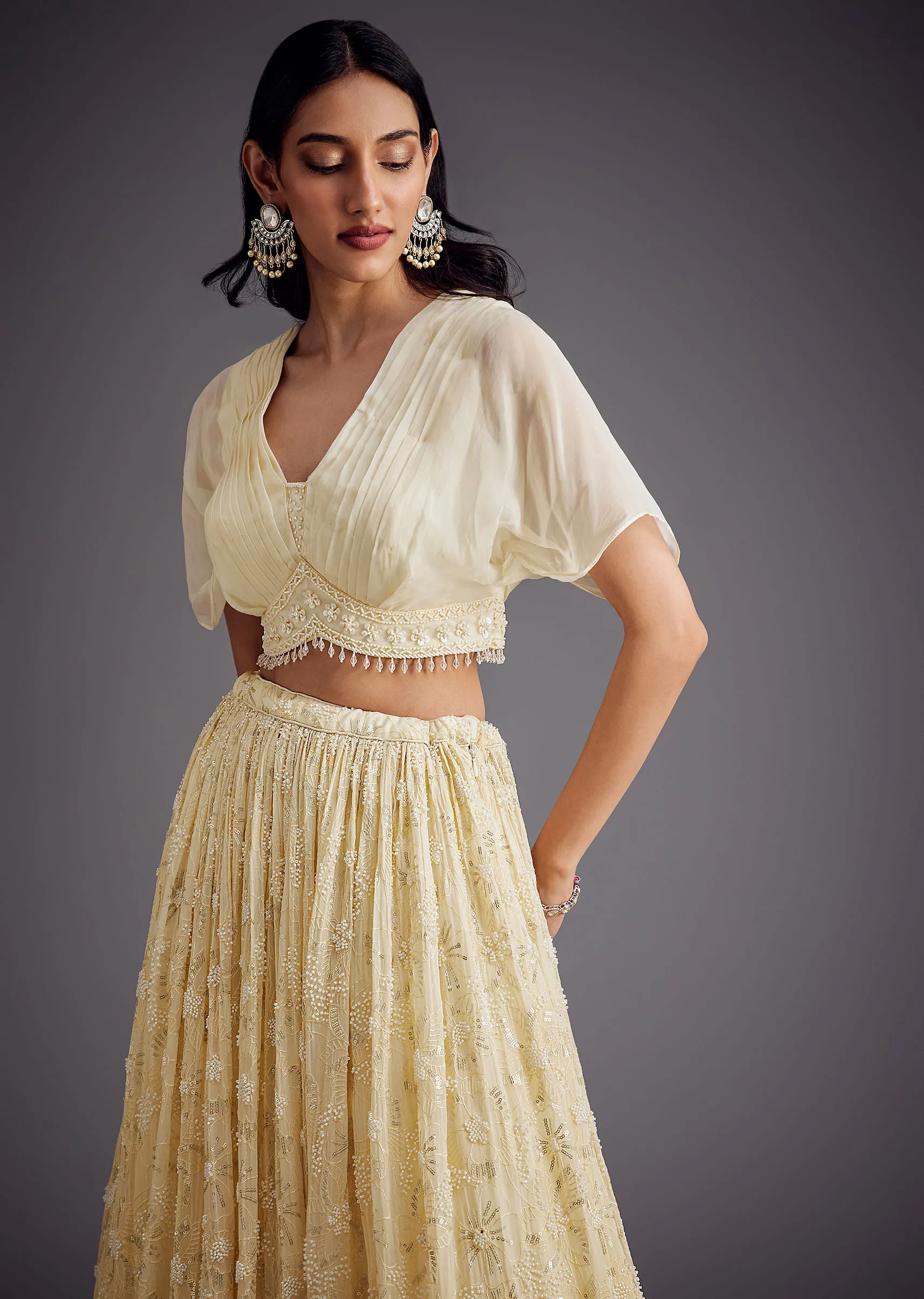 Off White Embroidered Pleated Skirt With Sheer Layered Croptop